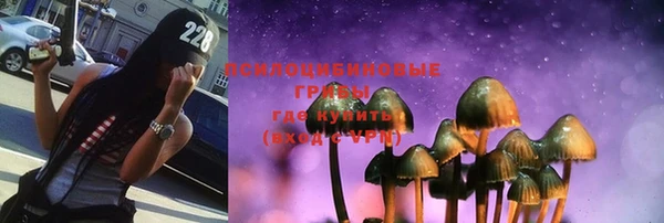 apvp Алексеевка
