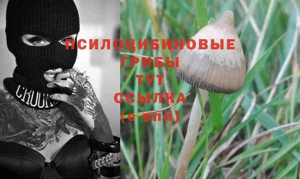 дживик Алзамай