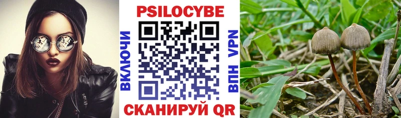 Галлюциногенные грибы мухоморы  omg онион  Покров 